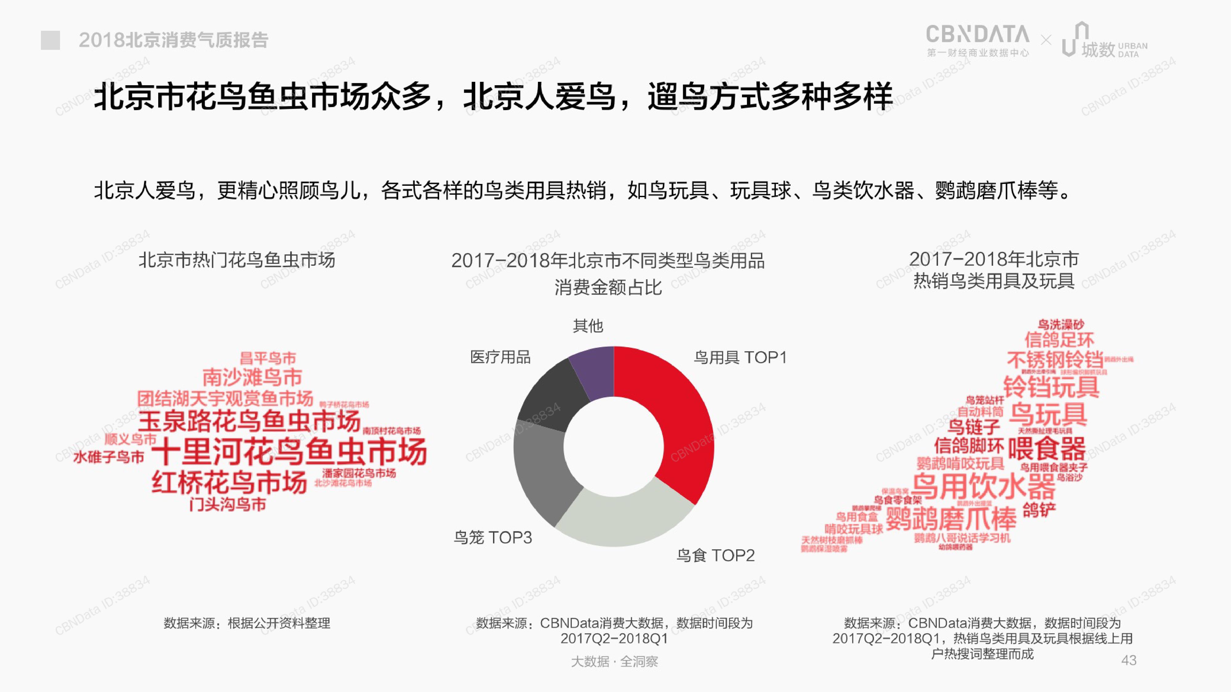 CBNData城数：2018北京消费气质报告（199it）