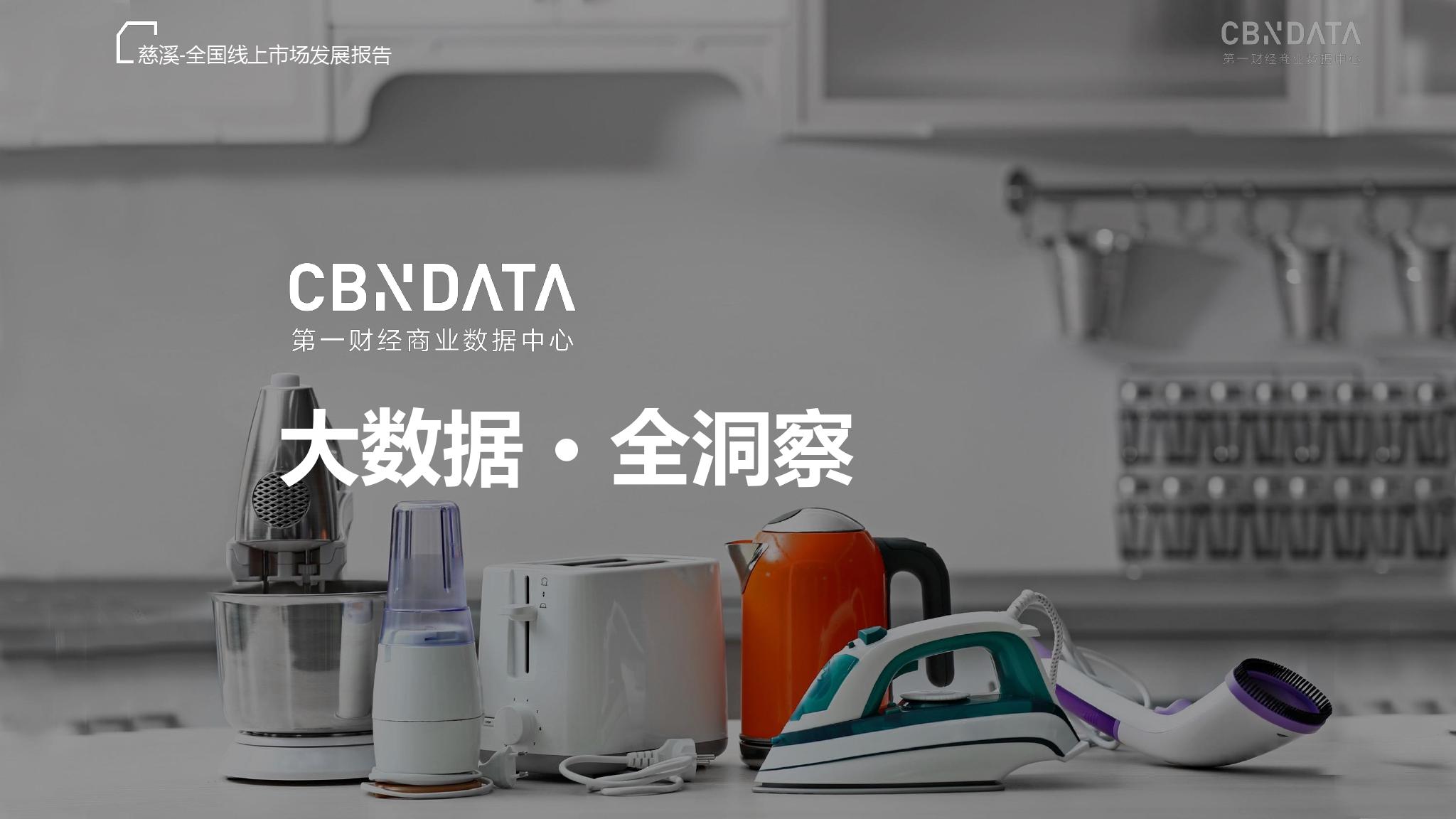 CBNData：2018全国小家电线上市场发展报告（199it）