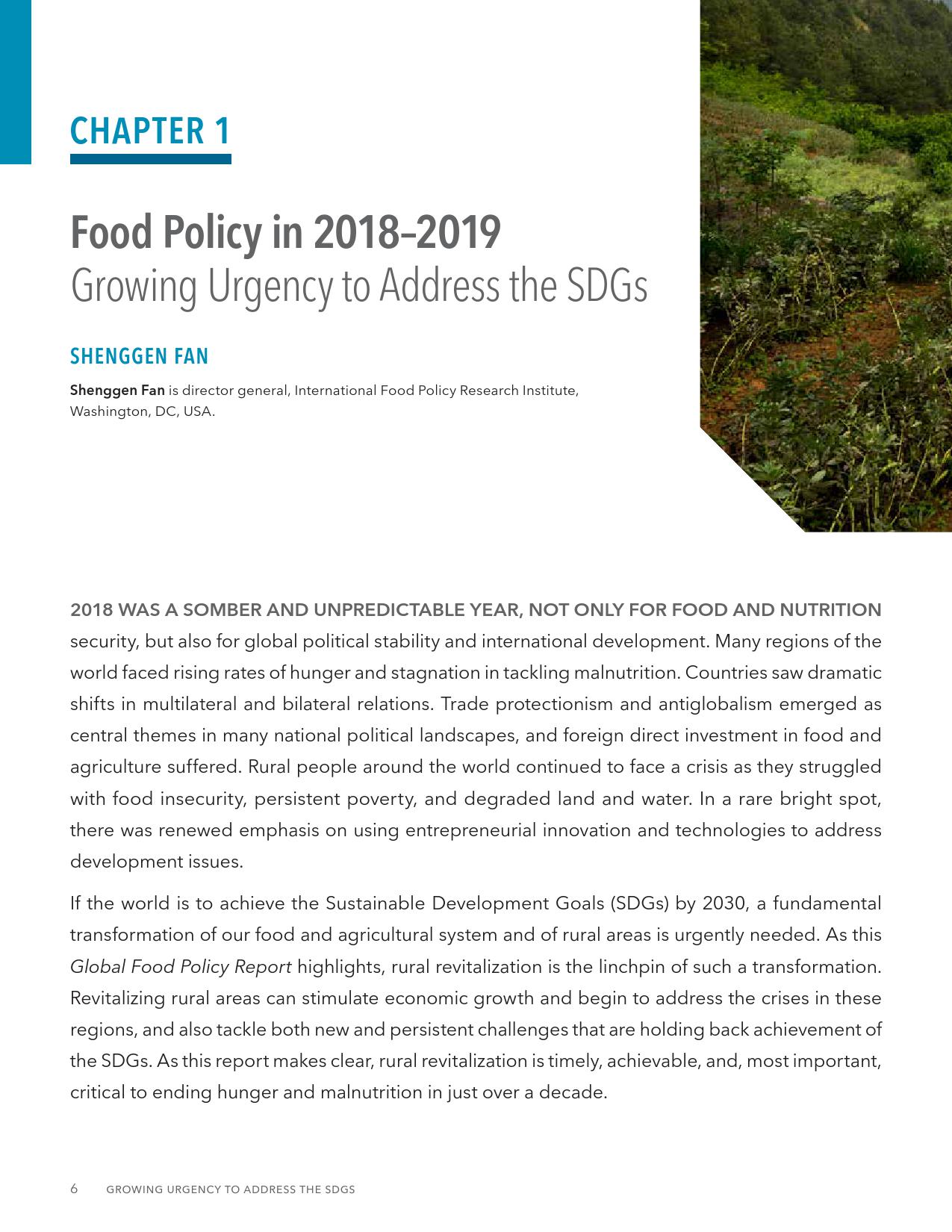 国际食物政策研究所：2019全球粮食政策报告（166页）