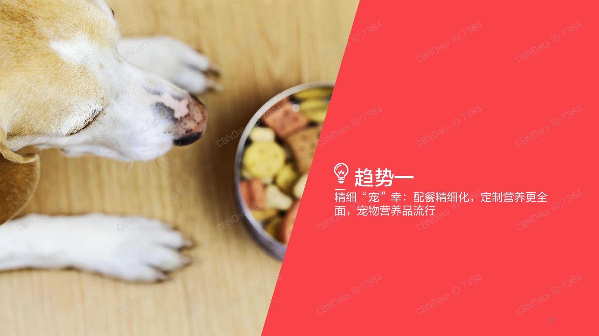 CBNData：2019宠物消费生态大数据报告（199it）
